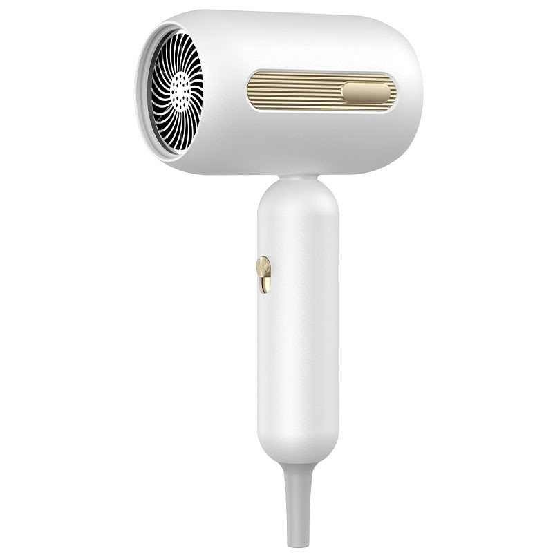 프로 1900W 헤어 드라이어 음이온 고속 헤어 드라이어 프로 살롱 blow dryer