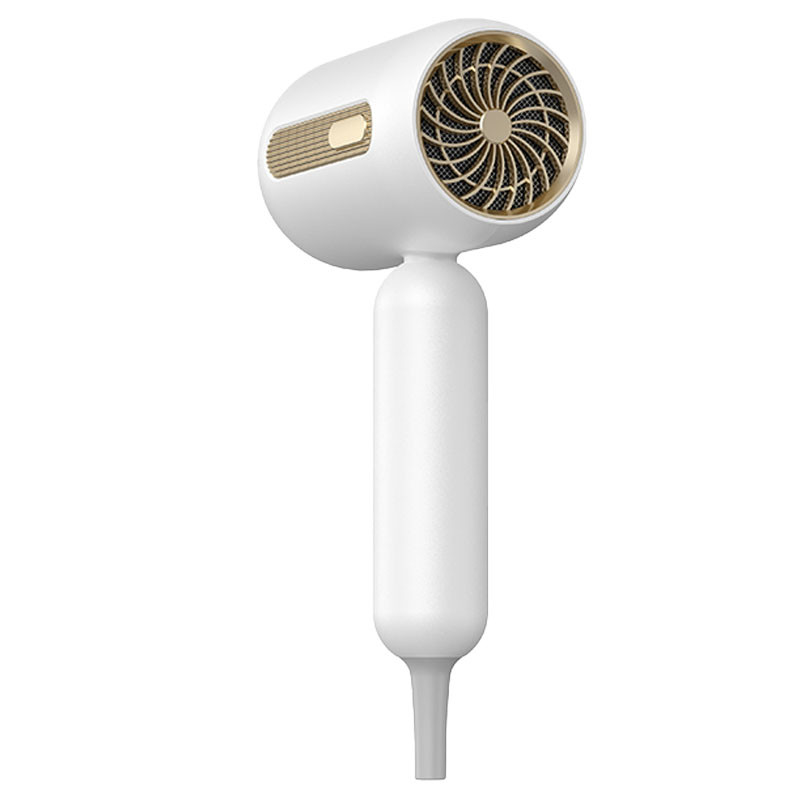 프로 1900W 헤어 드라이어 음이온 고속 헤어 드라이어 프로 살롱 blow dryer