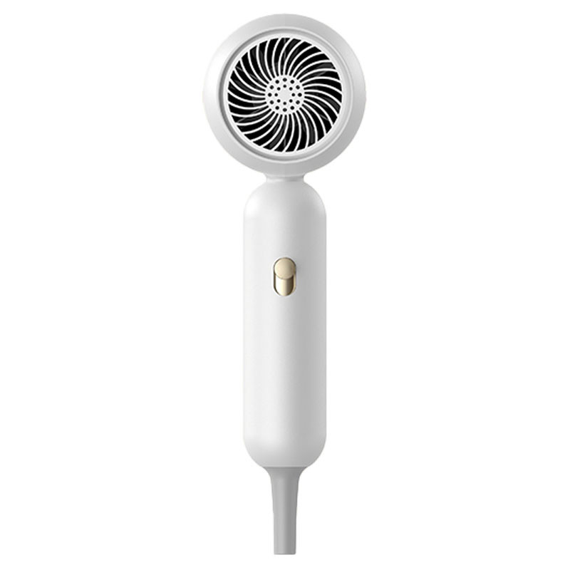 프로 1900W 헤어 드라이어 음이온 고속 헤어 드라이어 프로 살롱 blow dryer