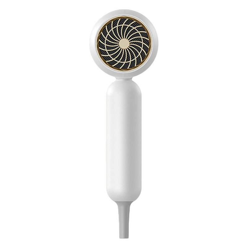 프로 1900W 헤어 드라이어 음이온 고속 헤어 드라이어 프로 살롱 blow dryer