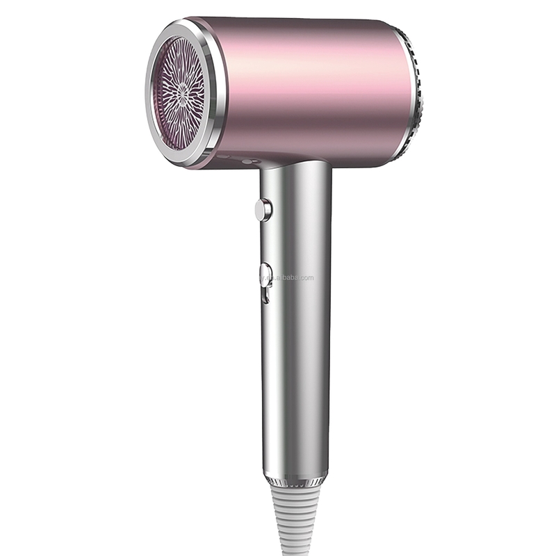 1500W 보라색 콤팩트 헤어 드라이어 2 속도와 여행용 3 열 설정