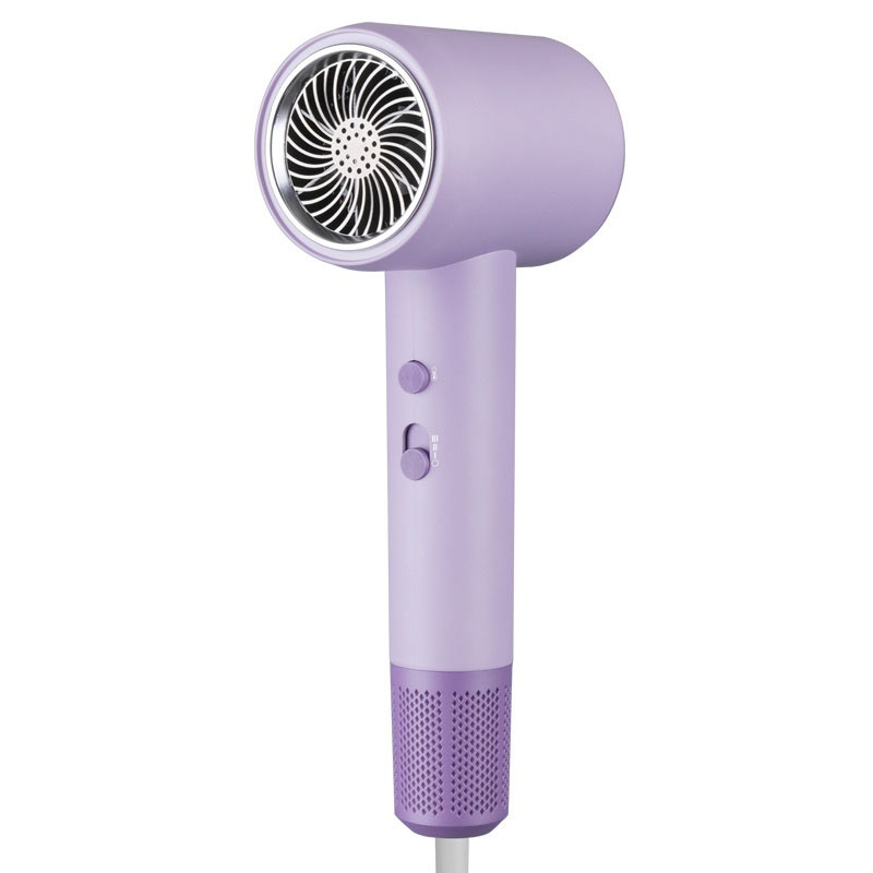 강력한 헤어 드라이어 DC 모터 블로 드라이어 전문 전문 살롱 2000W 부정 이온