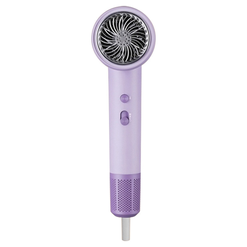 강력한 헤어 드라이어 DC 모터 블로 드라이어 전문 전문 살롱 2000W 부정 이온