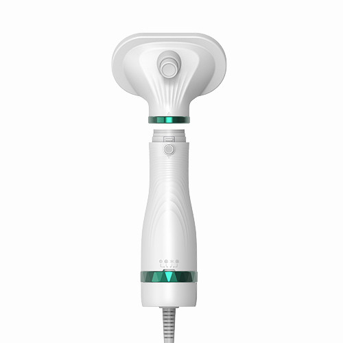 300W 다기능 3인1 애완동물 정형 붓기 낮은 소음 지속적인 바람 고양이 개 애완동물 헤어 드라이어