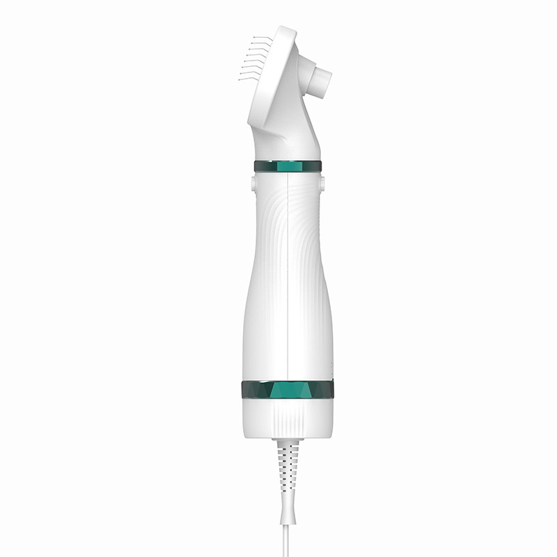 300W 다기능 3인1 애완동물 정형 붓기 낮은 소음 지속적인 바람 고양이 개 애완동물 헤어 드라이어