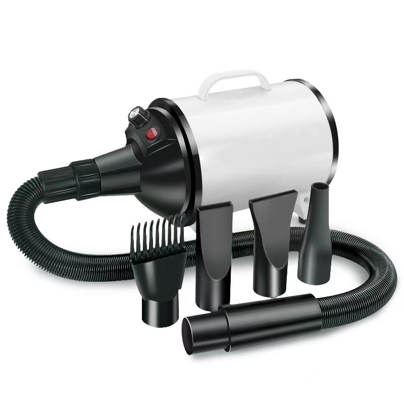 빠른 건조 애완 동물 헤어 드라이어 4인 1 전문 조용한 blow dryer 개 고양이 가벼운 휴대용