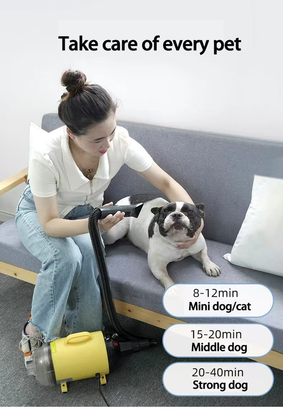 빠른 건조 애완 동물 헤어 드라이어 4인 1 전문 조용한 blow dryer 개 고양이 가벼운 휴대용